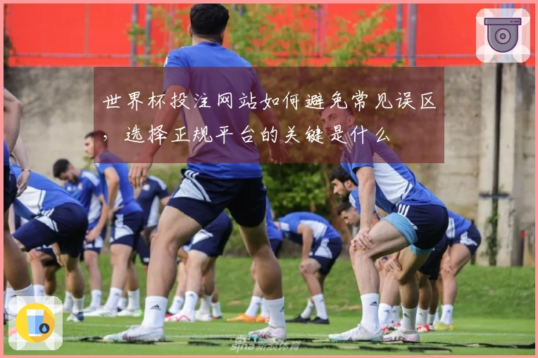 世界杯投注网站如何避免常见误区，选择正规平台的关键是什么
