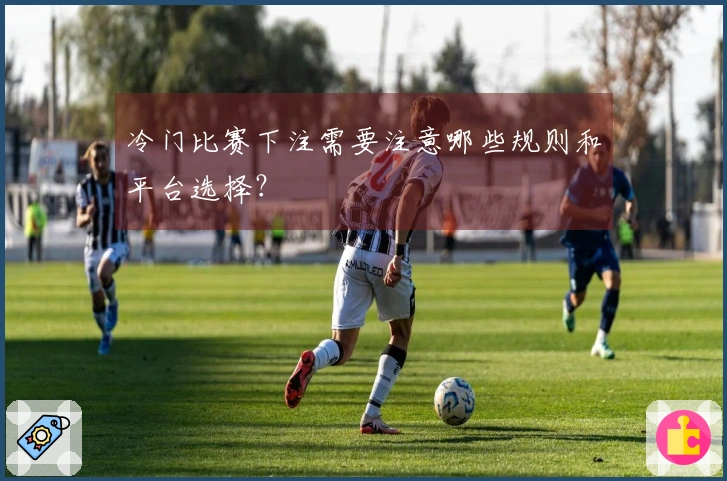 冷门比赛下注需要注意哪些规则和平台选择？
