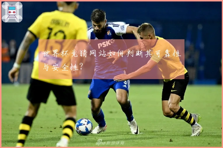世界杯竞猜网站如何判断其可靠性与安全性？