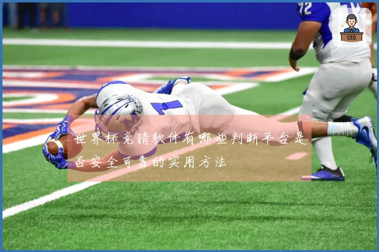 世界杯竞猜软件有哪些判断平台是否安全可靠的实用方法