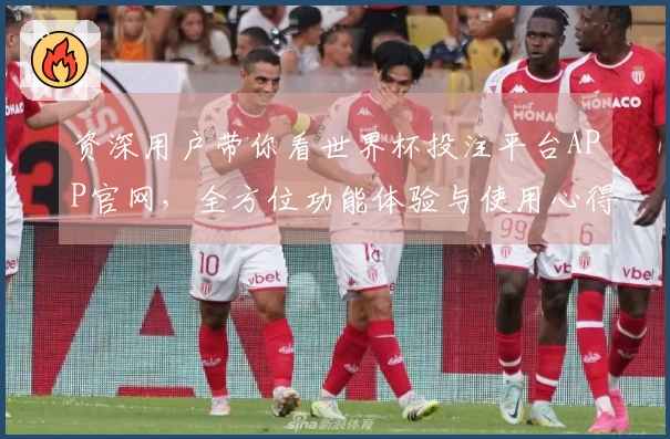 资深用户带你看世界杯投注平台APP官网,全方位功能体验与使用心得分享