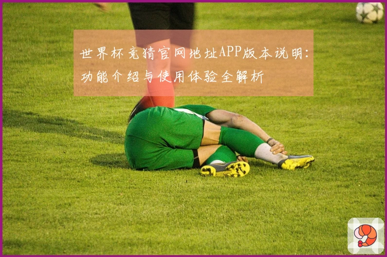 世界杯竞猜官网地址APP版本说明：功能介绍与使用体验全解析