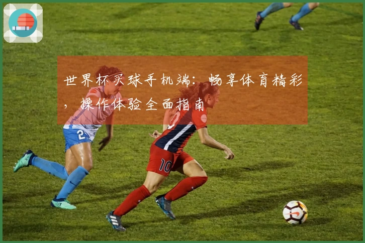 世界杯买球手机端:畅享体育精彩,操作体验全面指南