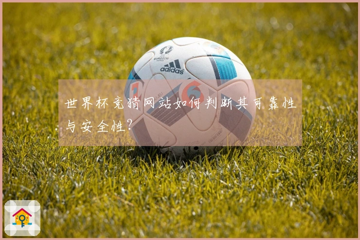 世界杯竞猜网站如何判断其可靠性与安全性？
