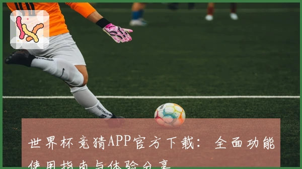 世界杯竞猜APP官方下载：全面功能使用指南与体验分享