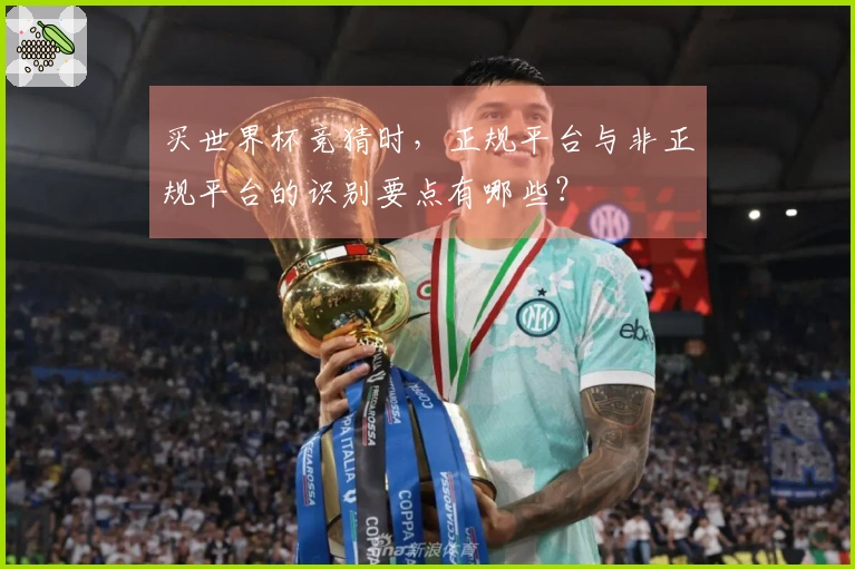 买世界杯竞猜时，正规平台与非正规平台的识别要点有哪些？