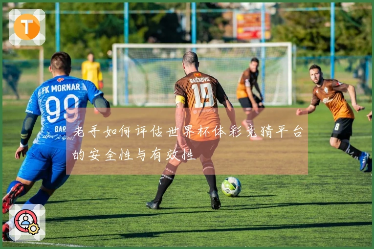 老手如何评估世界杯体彩竞猜平台的安全性与有效性