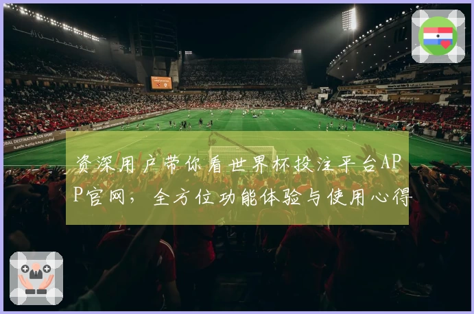 资深用户带你看世界杯投注平台APP官网，全方位功能体验与使用心得分享