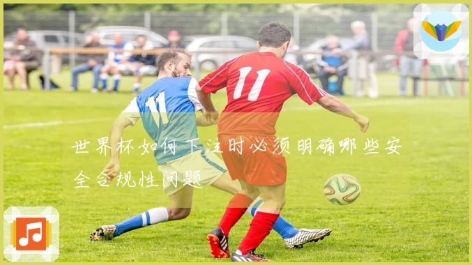 世界杯如何下注时必须明确哪些安全合规性问题