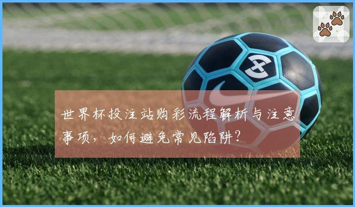 世界杯投注站购彩流程解析与注意事项，如何避免常见陷阱？