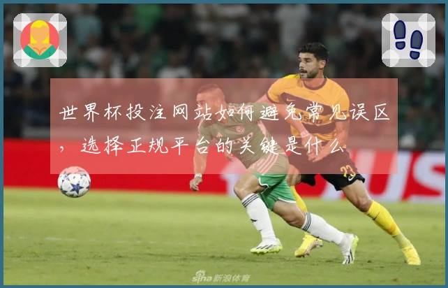 世界杯投注网站如何避免常见误区，选择正规平台的关键是什么