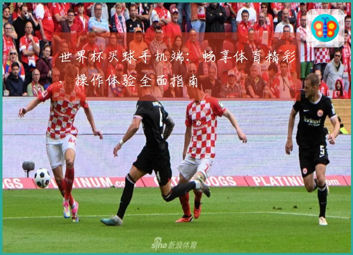 世界杯买球手机端：畅享体育精彩，操作体验全面指南