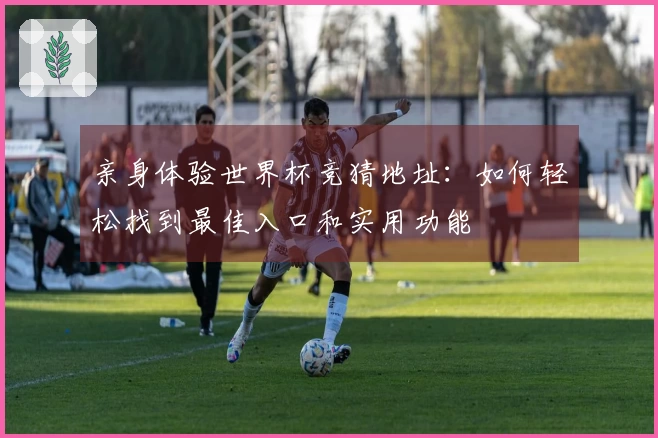 亲身体验世界杯竞猜地址：如何轻松找到最佳入口和实用功能