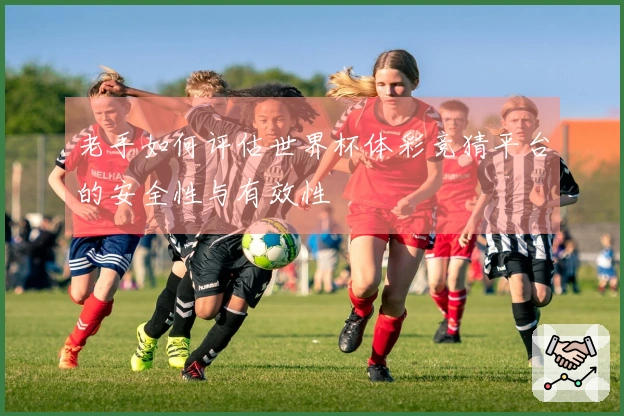 老手如何评估世界杯体彩竞猜平台的安全性与有效性