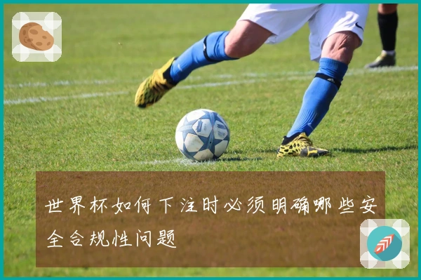 世界杯如何下注时必须明确哪些安全合规性问题