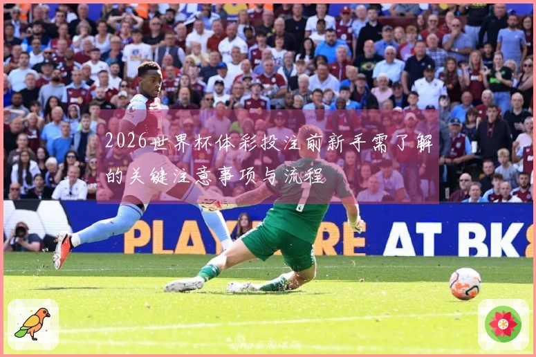 2026世界杯体彩投注前新手需了解的关键注意事项与流程