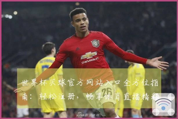 世界杯买球官方网站入口全方位指南：轻松注册，畅享体育直播精彩体验