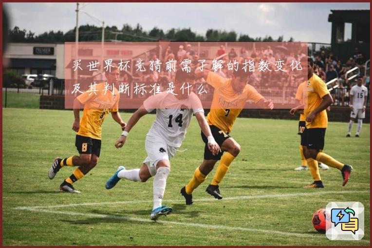 买世界杯竞猜前需了解的指数变化及其判断标准是什么