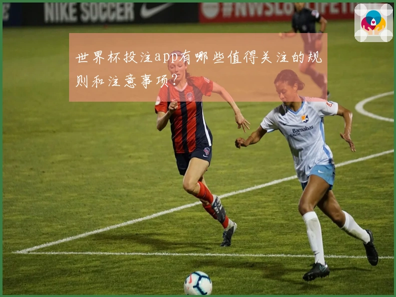 世界杯投注app有哪些值得关注的规则和注意事项？
